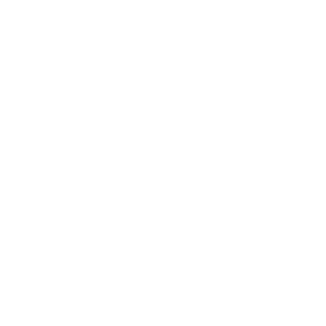 Cinematic Forest